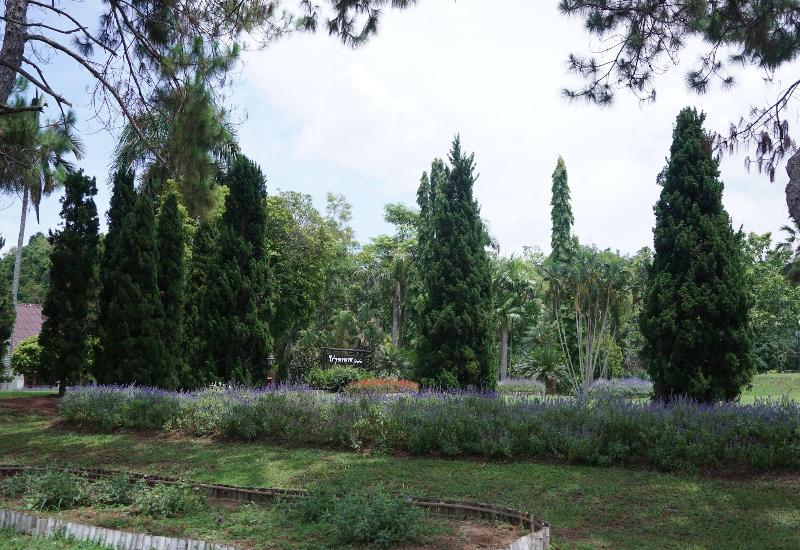 Rai Juthamas Resort image