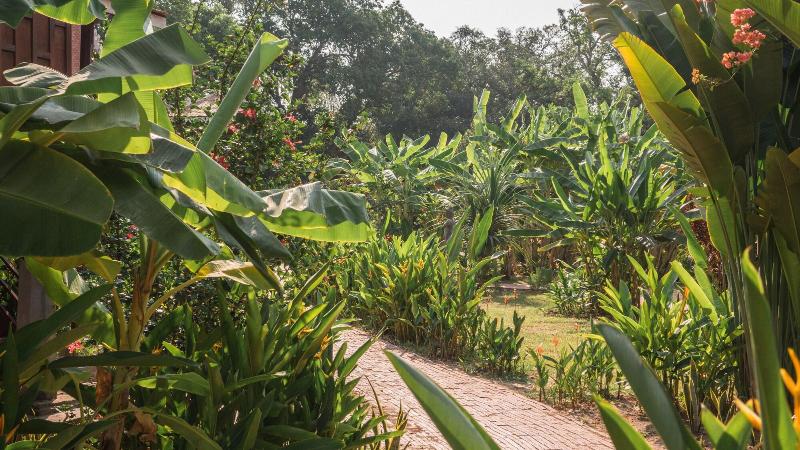 Rajabori Villas image