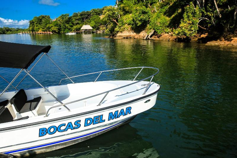 Bocas Del Mar Hotel image