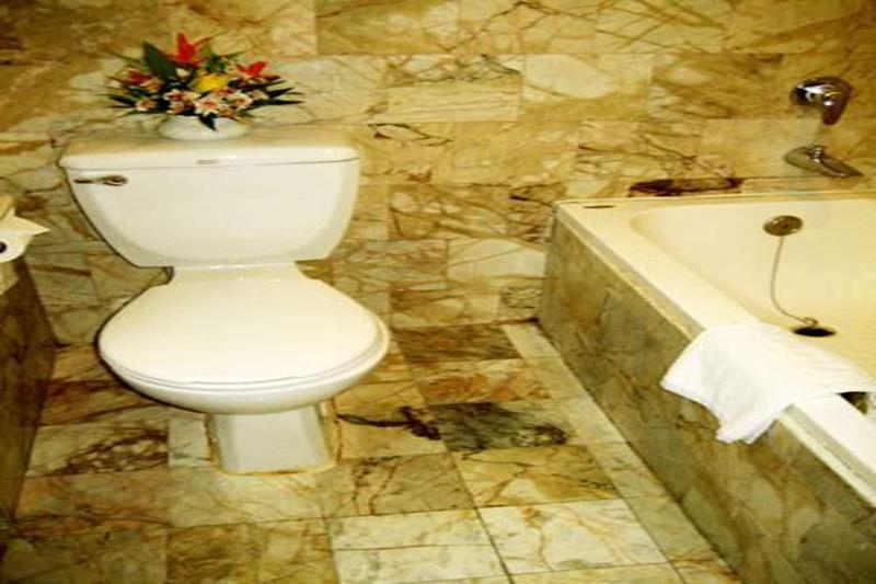 Raya Grand Hotel image