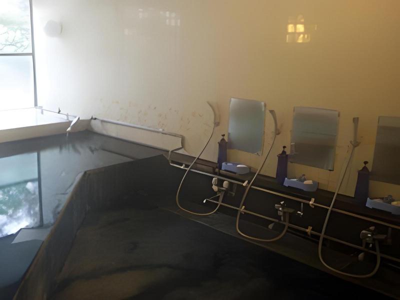 Hotel Masyu image