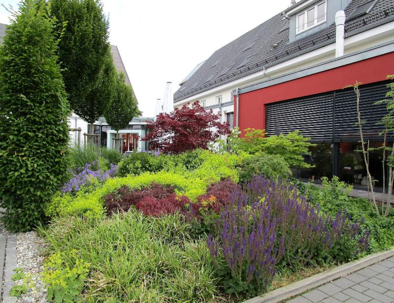 Hotel Ochsen image
