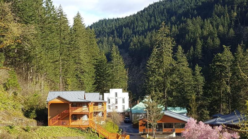 Carson Hot Springs Resort image