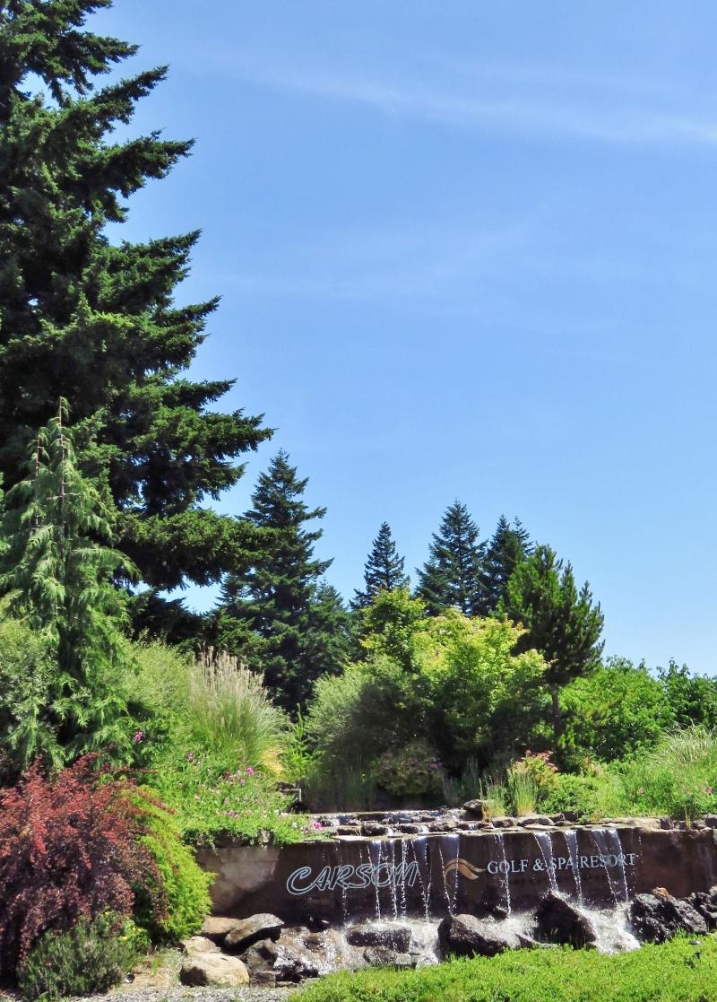 Carson Hot Springs Resort image