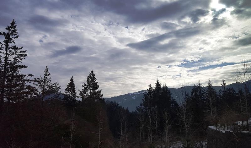 Carson Hot Springs Resort image