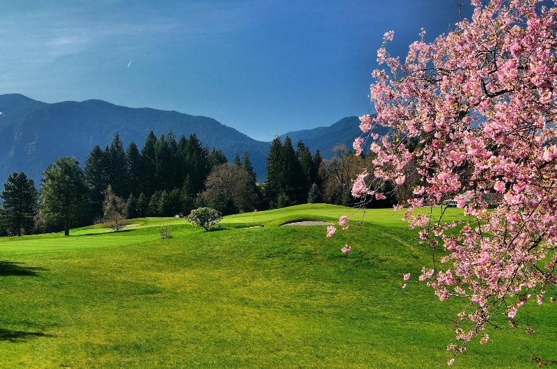 Carson Hot Springs Resort image