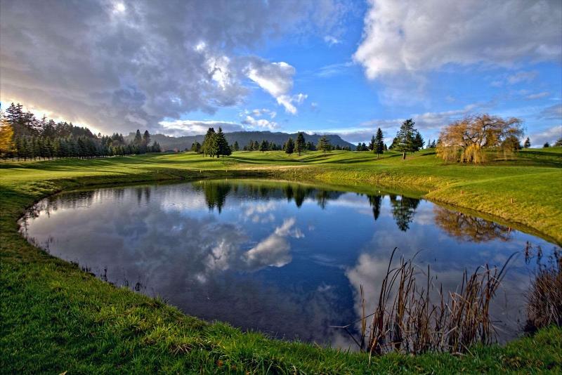 Carson Hot Springs Resort image