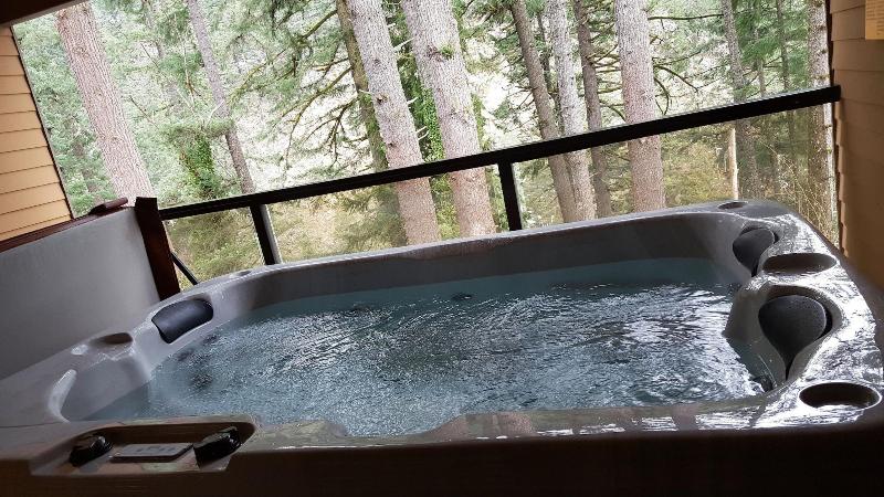 Carson Hot Springs Resort image