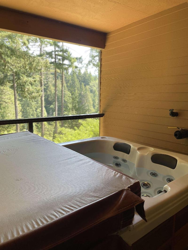 Carson Hot Springs Resort image