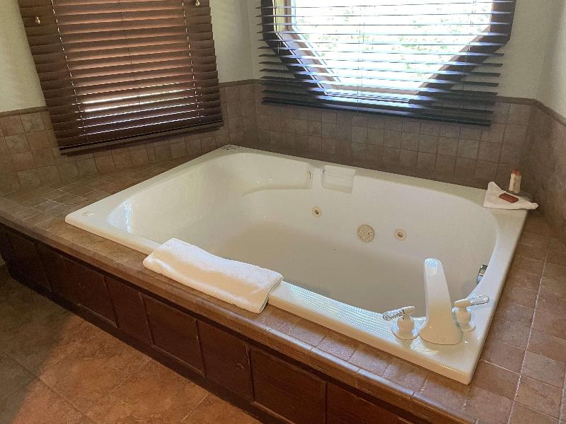 Carson Hot Springs Resort image