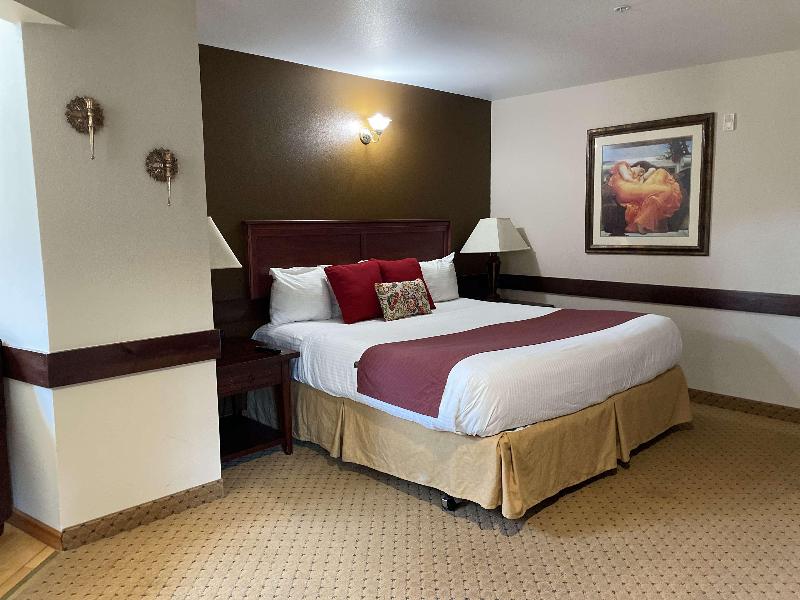 Carson Hot Springs Resort image