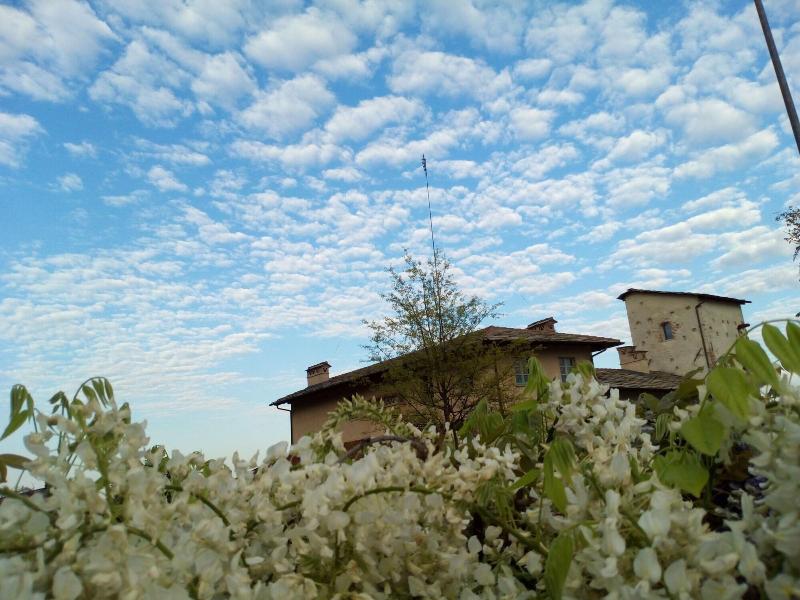Casa Torre Allera image