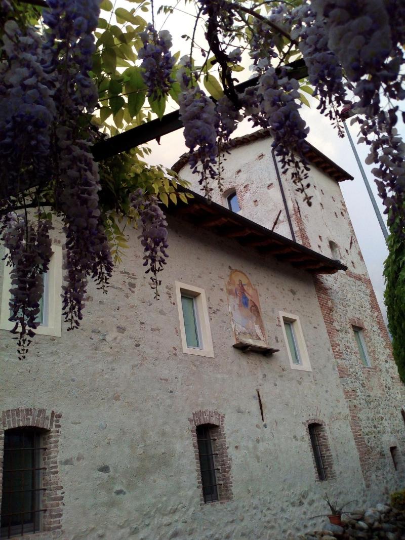 Casa Torre Allera image