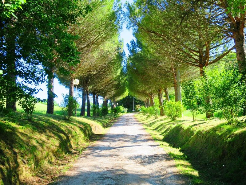 Castello Cortevecchio image