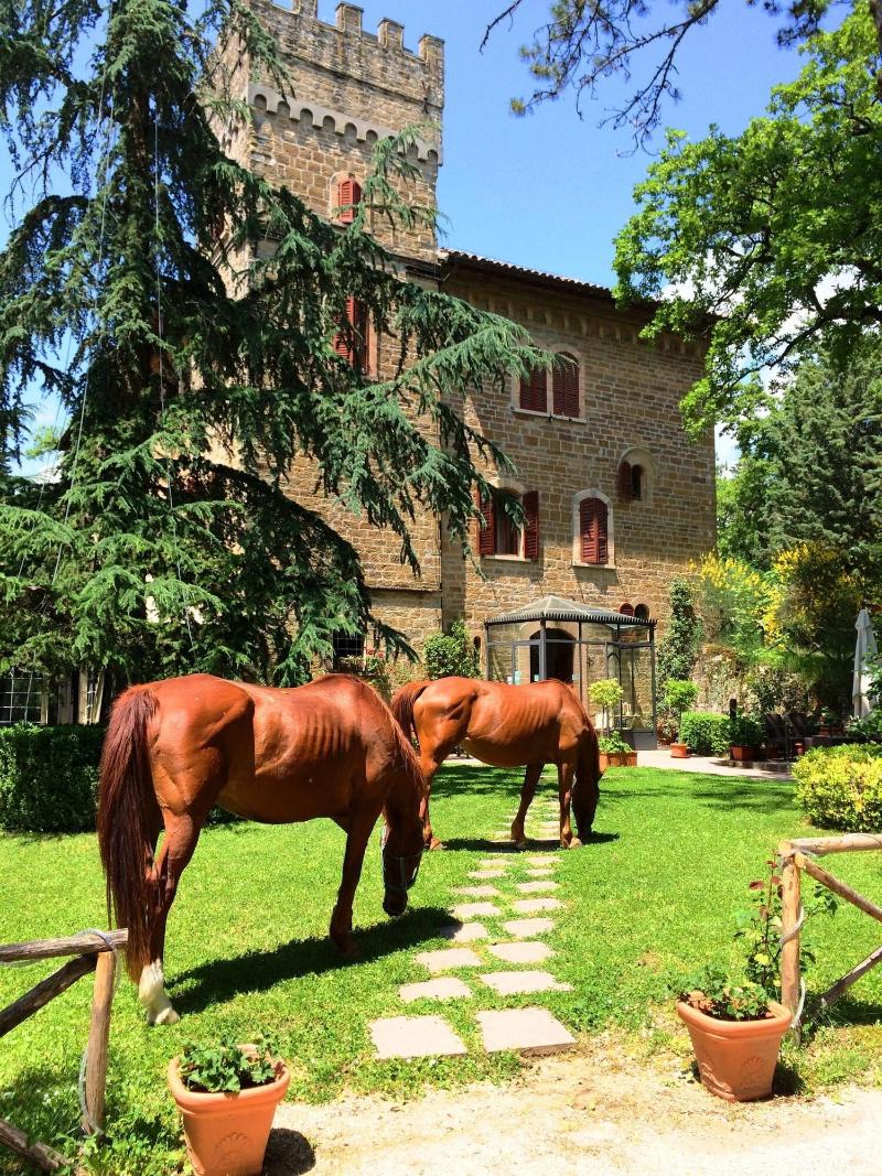 Castello Cortevecchio image