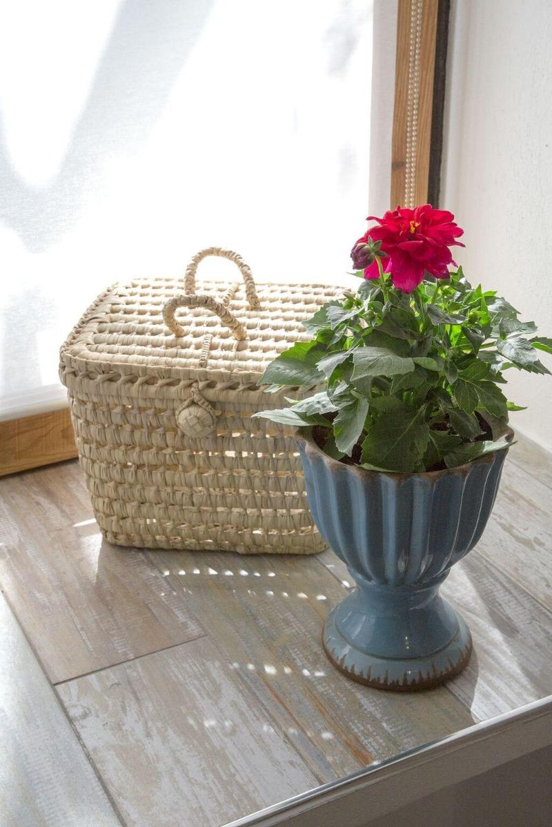 Hotel Rancho Los Lobos image
