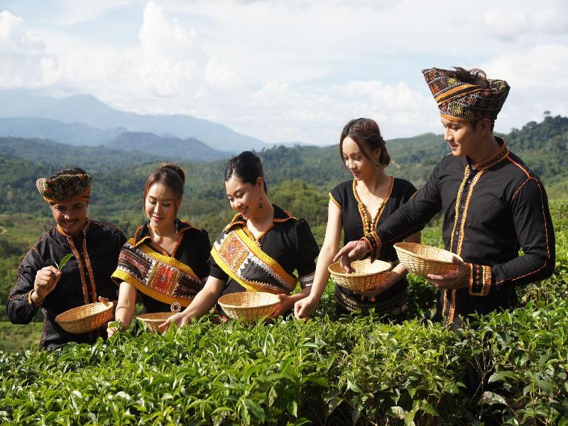 Sabah Tea Garden image