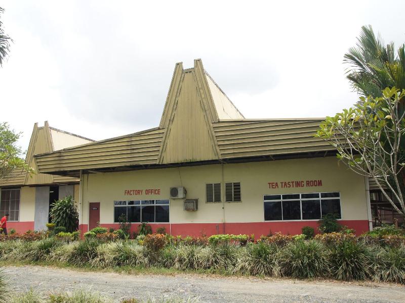 Sabah Tea Garden image