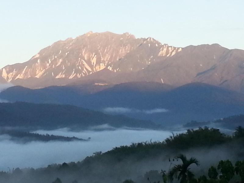 Sabah Tea Garden image