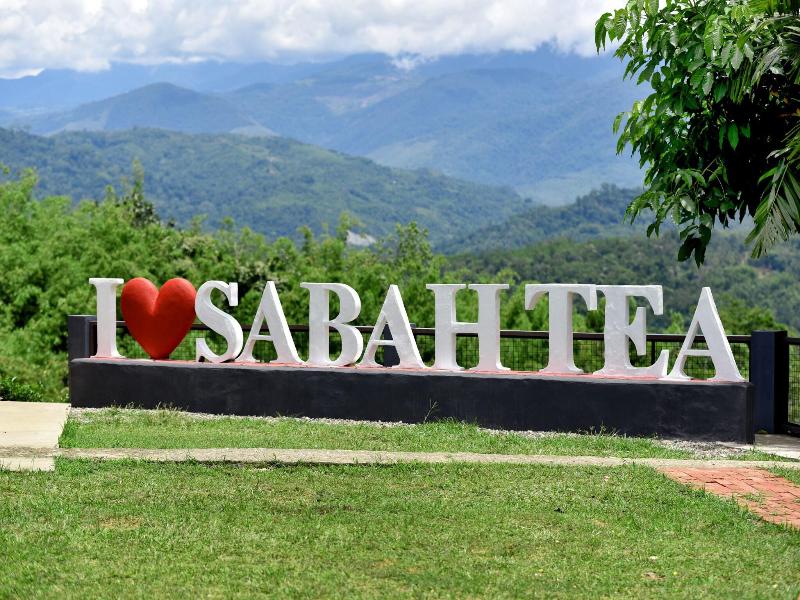 Sabah Tea Garden image
