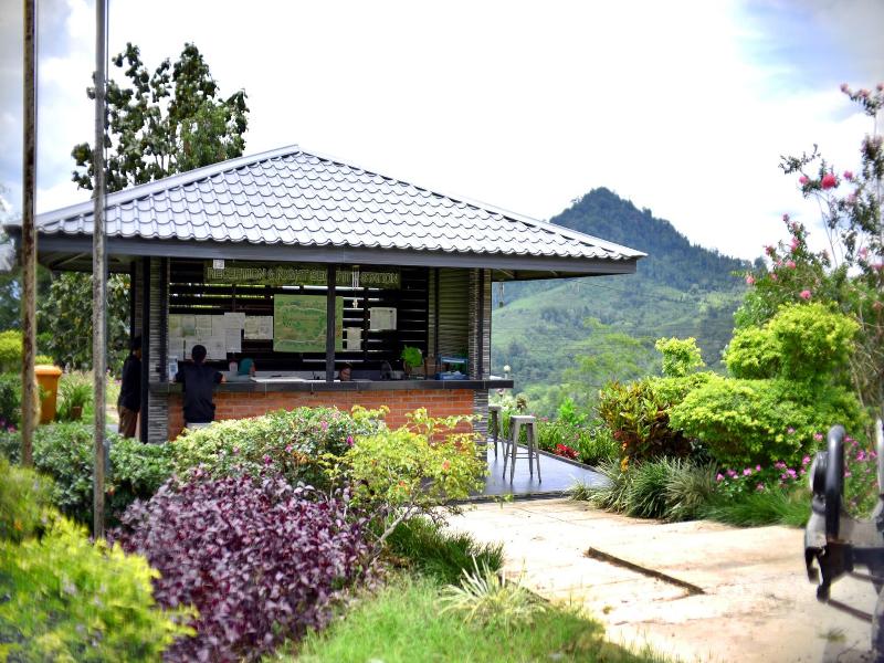 Sabah Tea Garden image