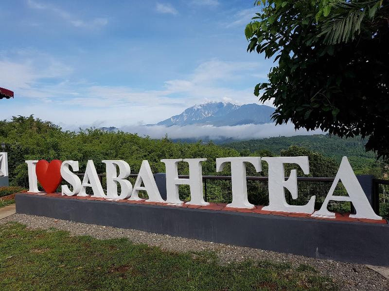 Sabah Tea Garden image