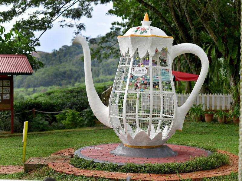 Sabah Tea Garden image
