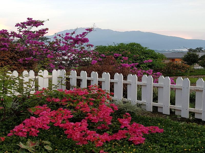 Sabah Tea Garden image