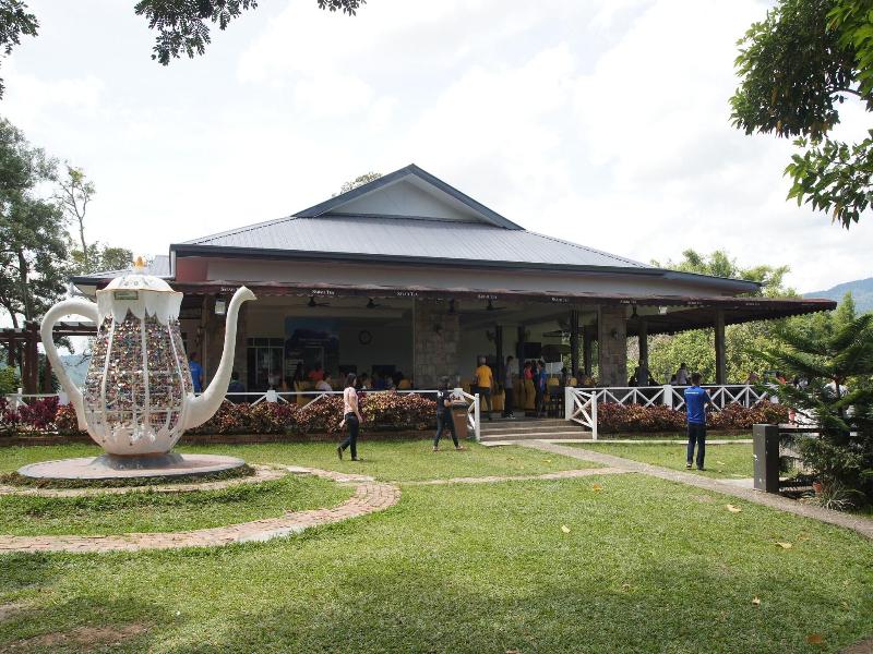 Sabah Tea Garden image