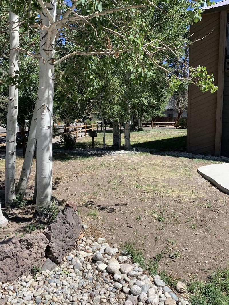 Baymont by Wyndham Monte Vista image