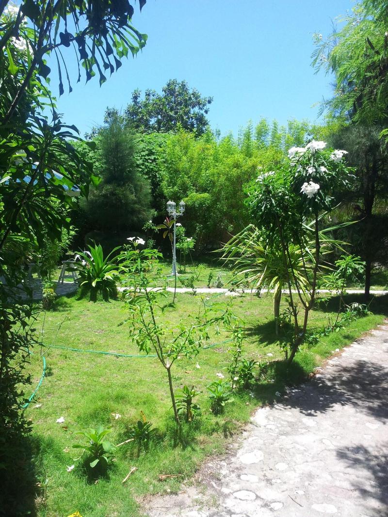 Chateau Champvert — photo 3