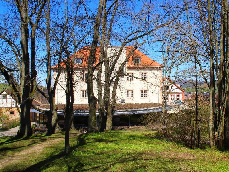 Schloss Geisa image