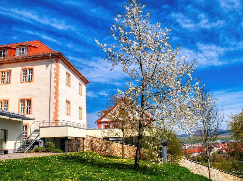 Schloss Geisa image