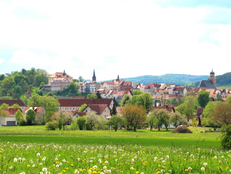 Schloss Geisa image