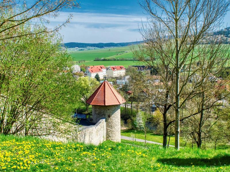 Schloss Geisa image