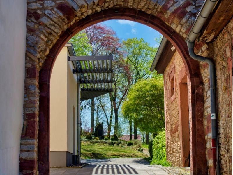 Schloss Geisa image