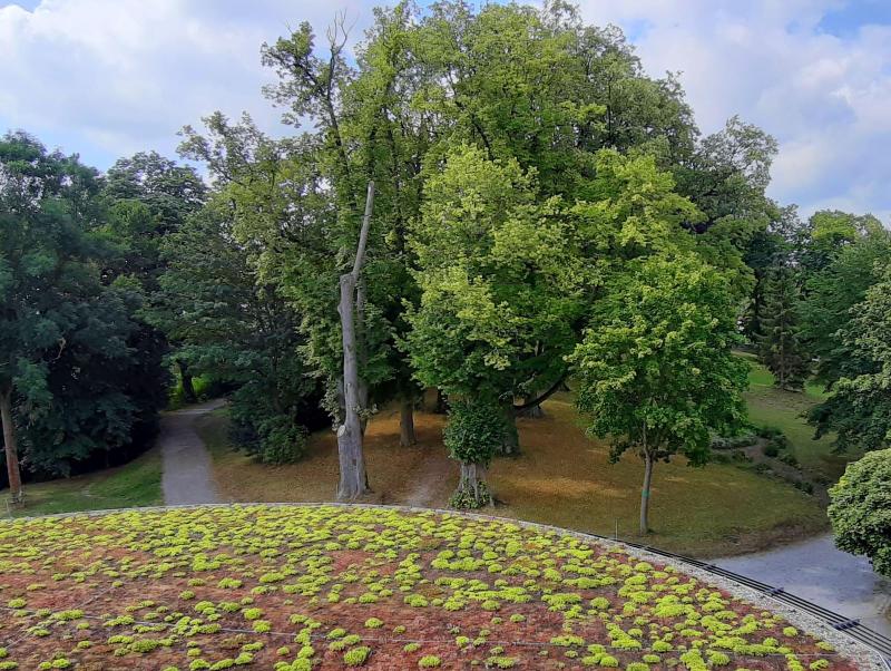 Schloss Geisa image