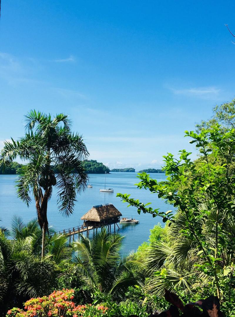 Seagull Cove Resort image