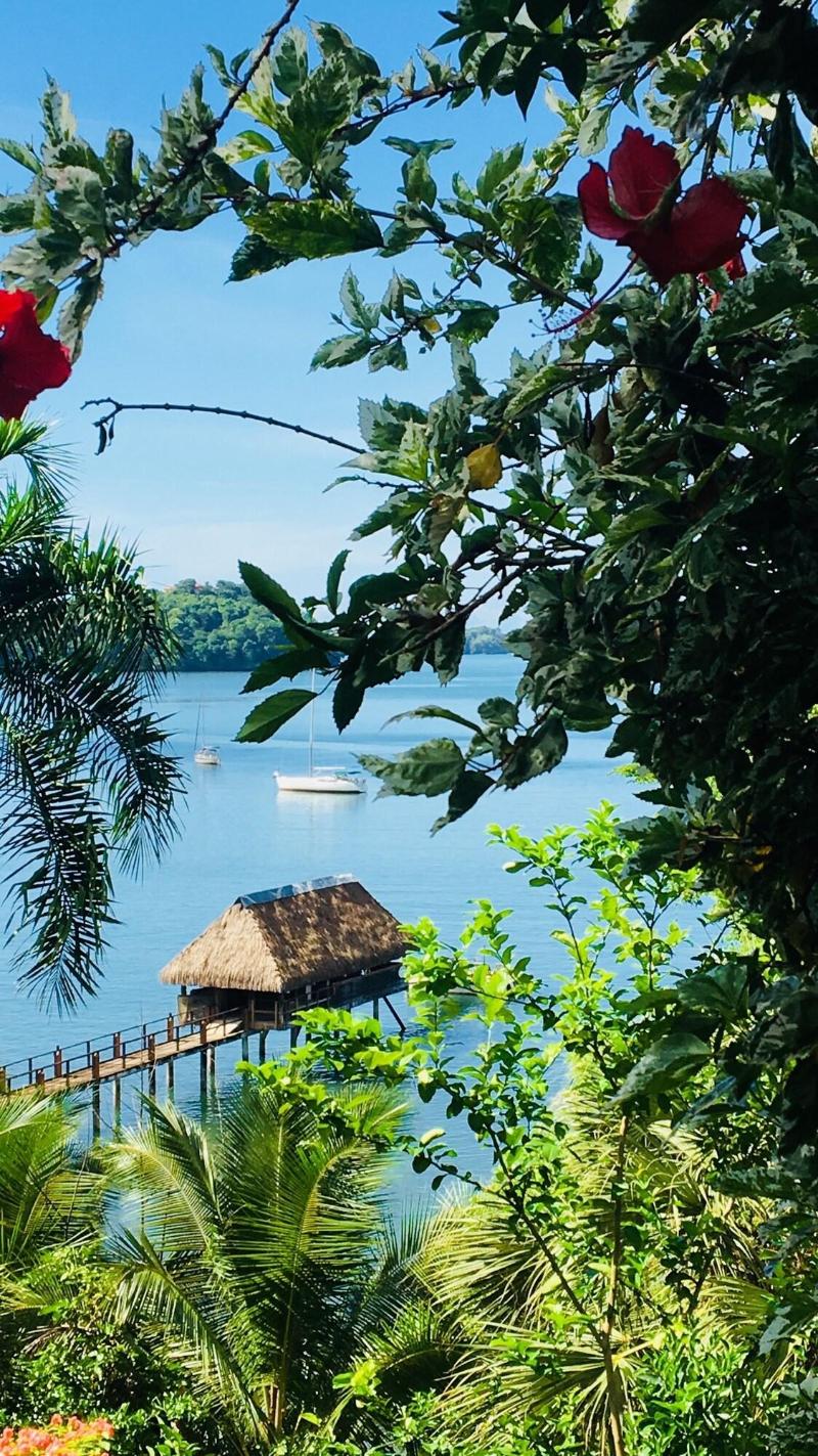 Seagull Cove Resort image