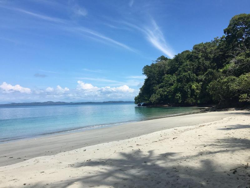 Seagull Cove Resort image