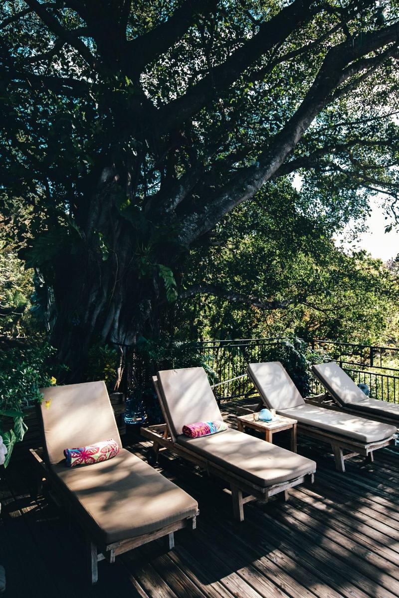 Seagull Cove Resort image