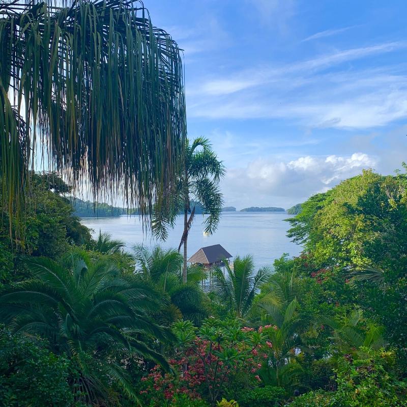 Seagull Cove Resort image