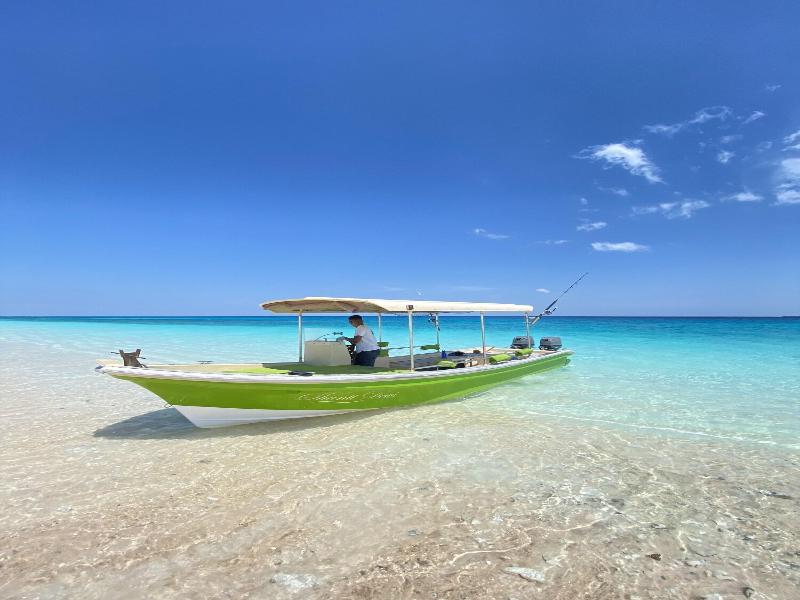 Seed Resort