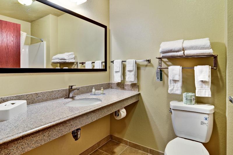 Cobblestone Inn & Suites - Ambridge image