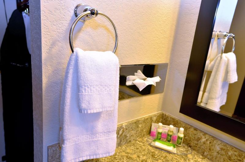 Cobblestone Inn & Suites - Holstein image