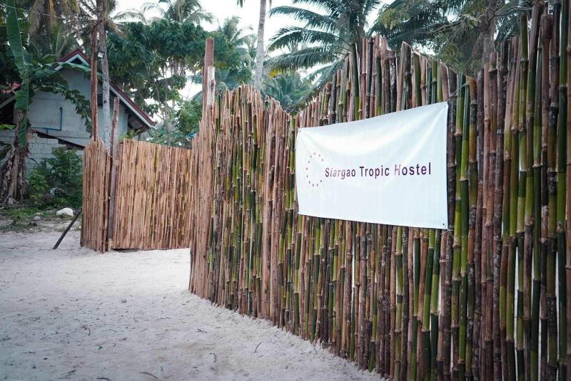 Siargao Tropic Hostel