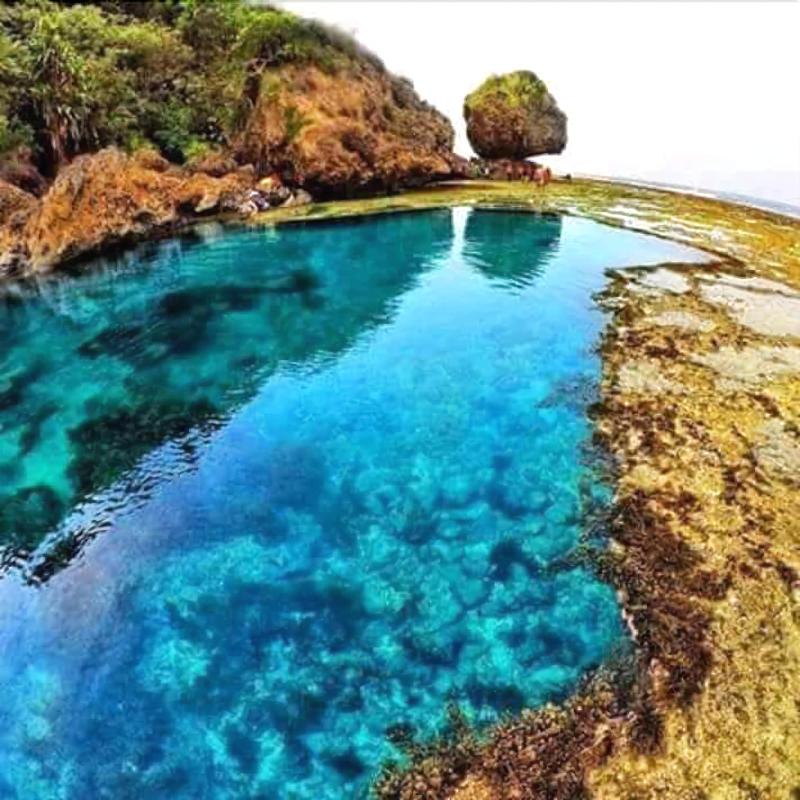 Siargao Tropic Hostel
