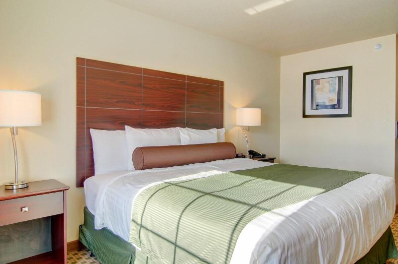 Cobblestone Inn & Suites - Steele image