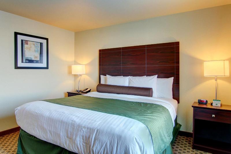 Cobblestone Inn & Suites - Steele image