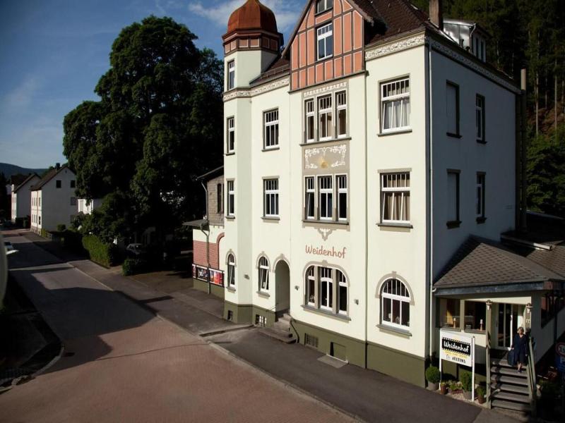 Hotel Weidenhof image